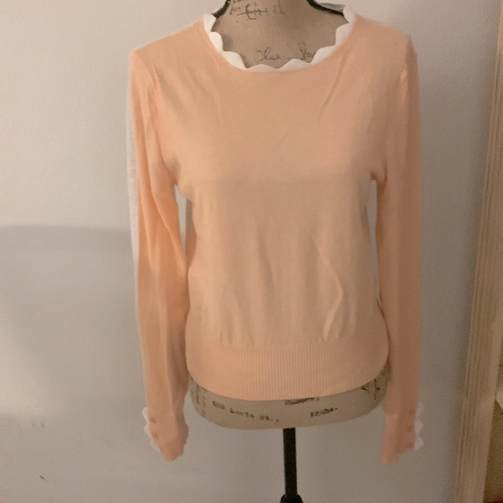 see by chloe sweater